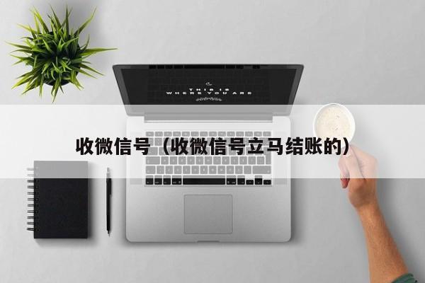 收微信号（收微信号立马结账的）